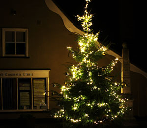 Village Christmas Tree