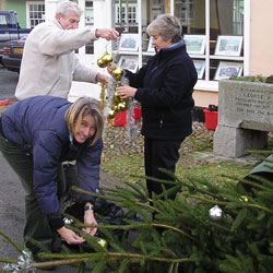 Christmas Tree 2005