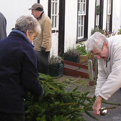 Christmas Tree 2005