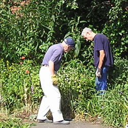 Village Hall Garden 2006