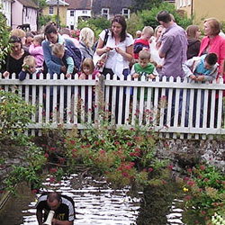 Village Festival 2008