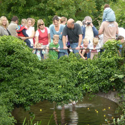 Village Festival 2008