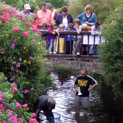 Village Festival 2008