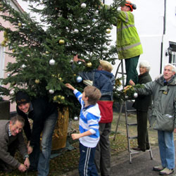 Christmas Tree 2011