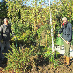 Village Hall Garden 2011