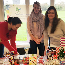 Christmas Fayre 2015