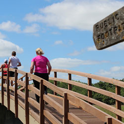 Nayland 10k Fun Run